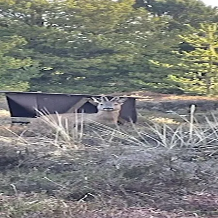 Artan - 2-6km From The Sea By Interhome Tatil Evi Kongsmark