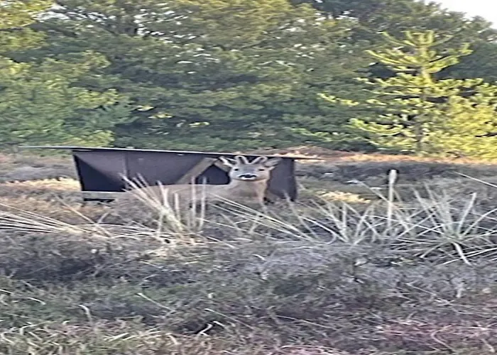 Artan - 2-6km From The Sea By Interhome Holiday home Kongsmark